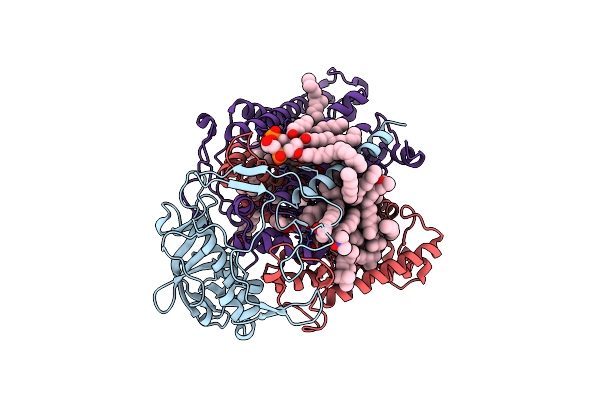 5LRI image