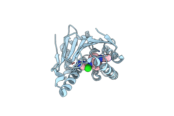 5LRL image