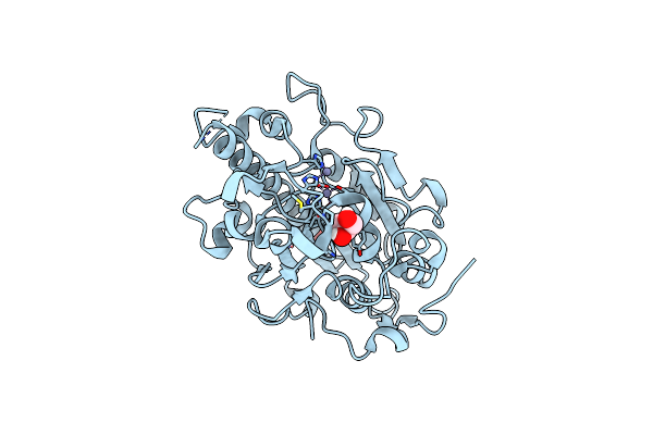 5LRM image