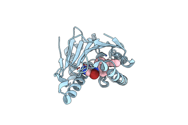 5LRZ image