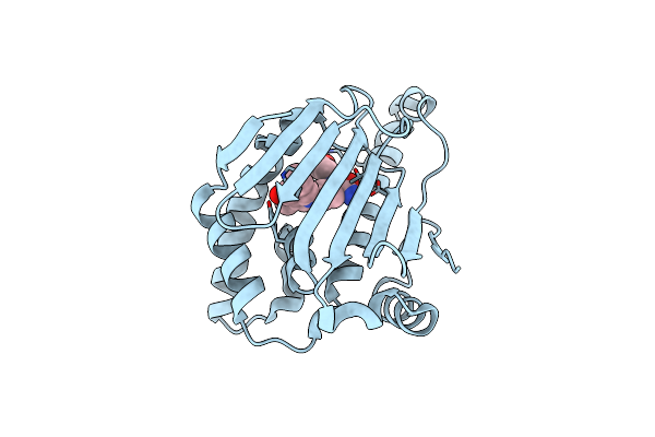 5LS1 image