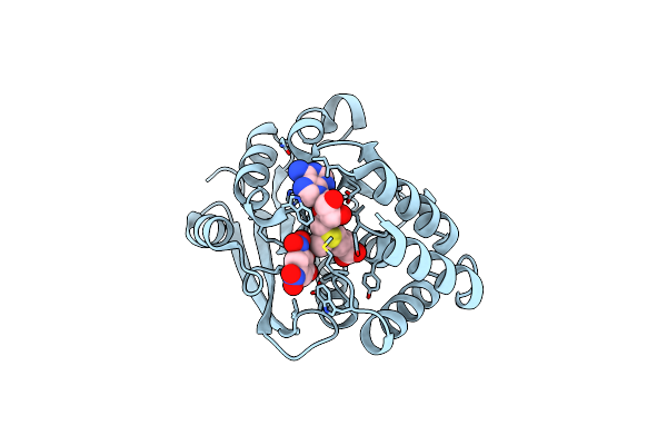 5LSA image