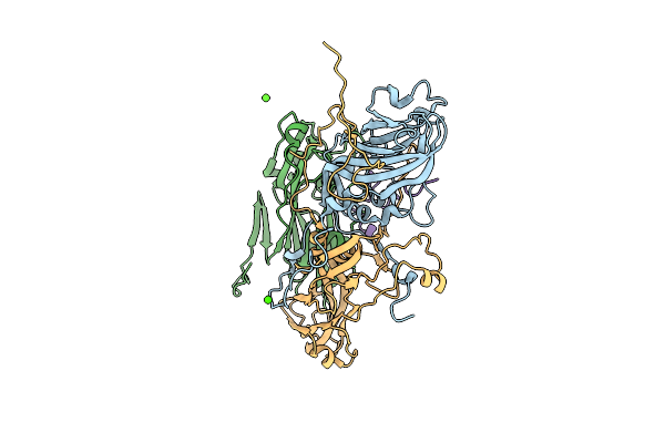 5LSF image