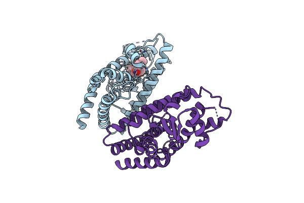5LSG image