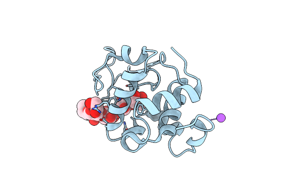 5LSH image