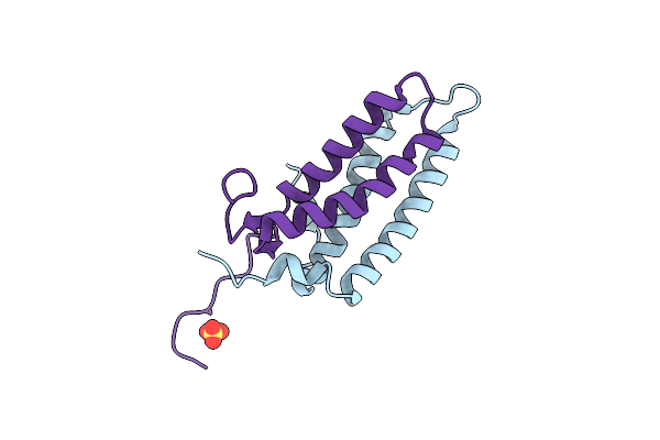 5LSI image