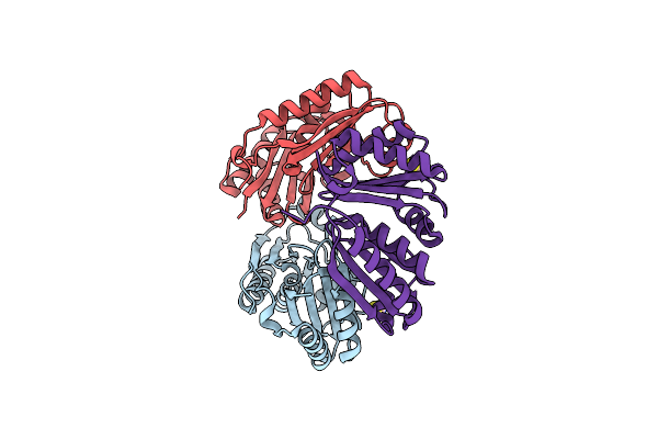 5LSR image