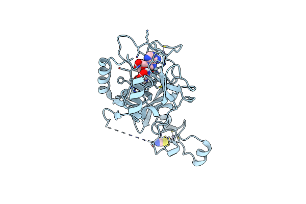 5LSS image