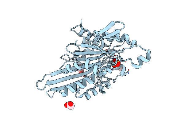 5LT0 image