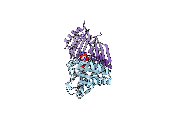 5LT5 image