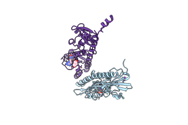 5LT9 image