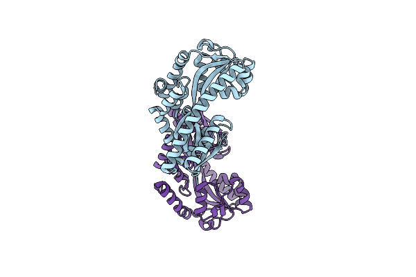 5LTC image