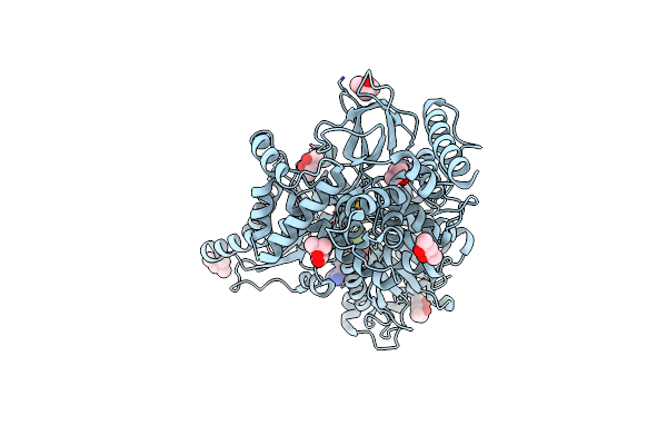 5LTJ image