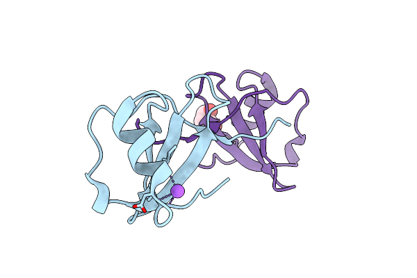 5LTL image