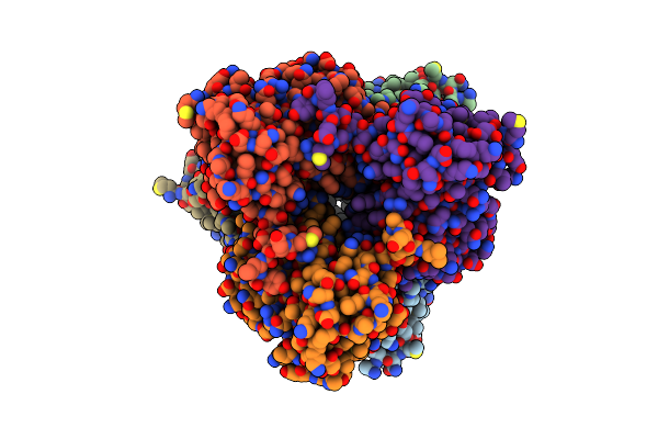 5LTP image