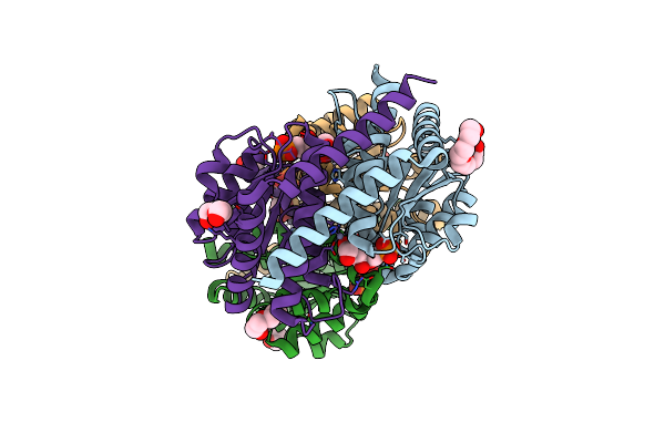 5LTZ image