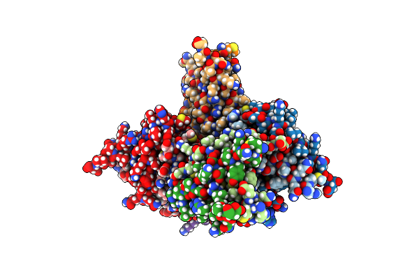 5LUS image