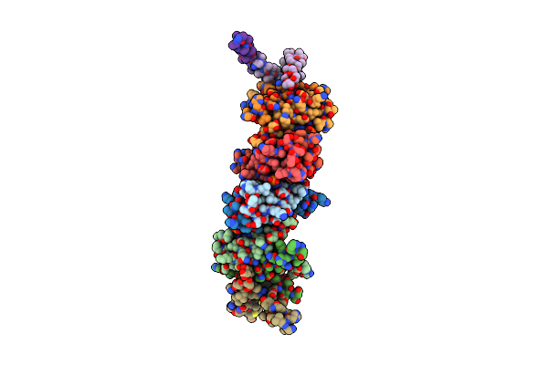 5LUT image