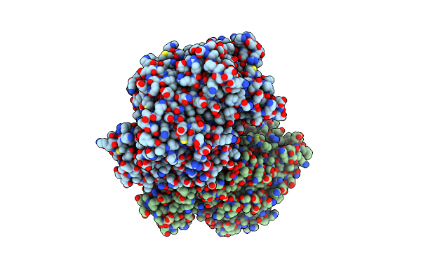 5LUZ image