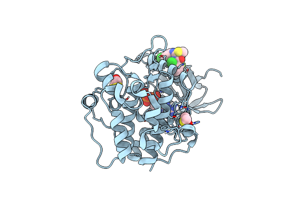 5LVO image