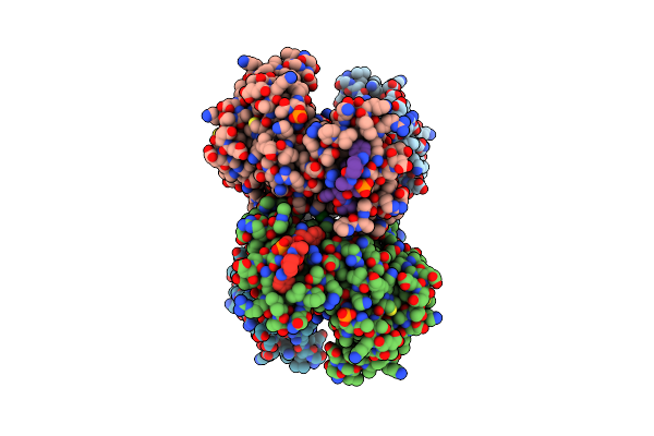 5LVP image