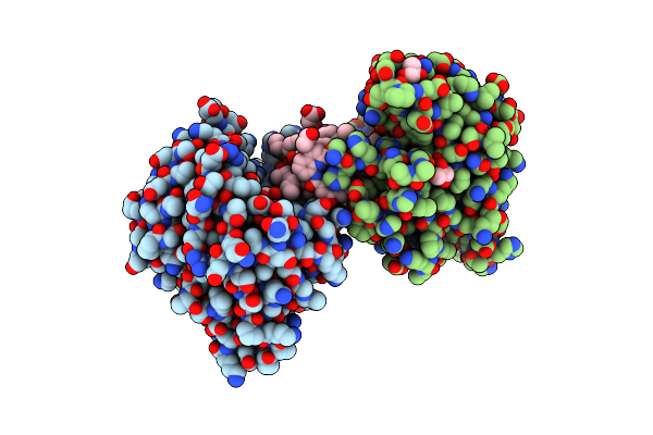 5LVS image
