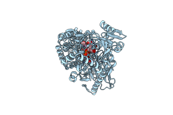 5LVV image