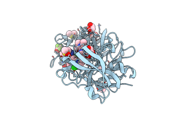 5LWS image