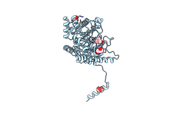 5LX7 image