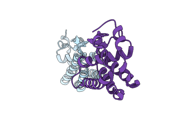 5LXF image