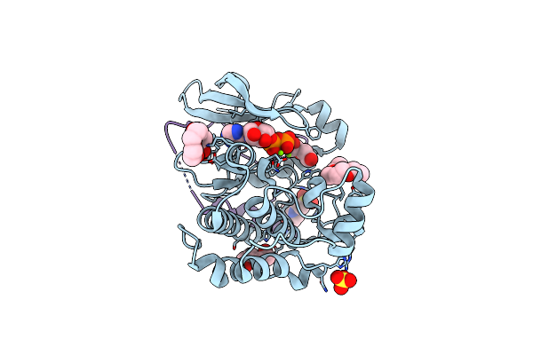 5LXM image