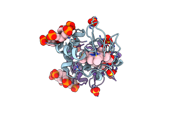 5LYC image