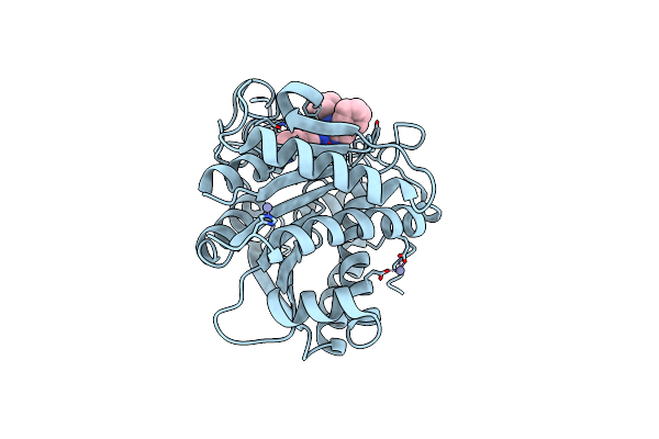 5LYL image