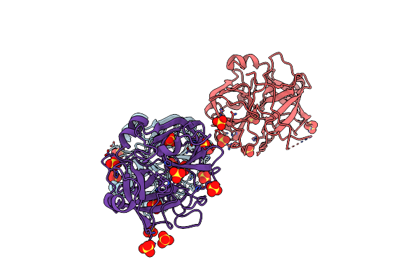 5LYO image