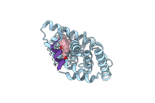 5LYQ image