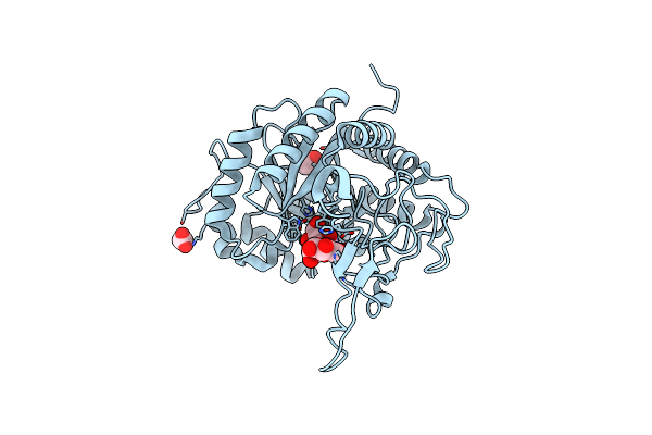 5LYR image