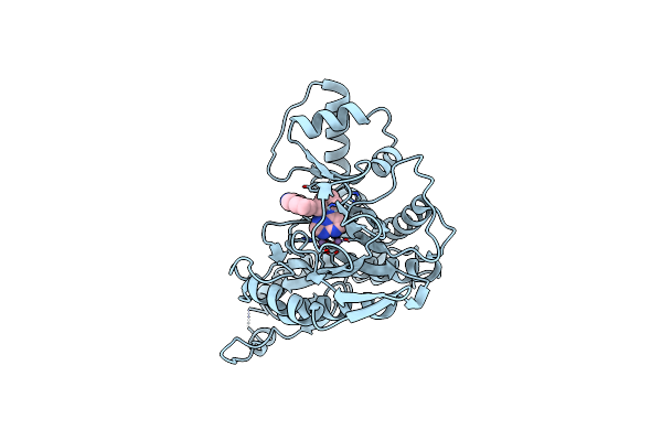 5LYX image