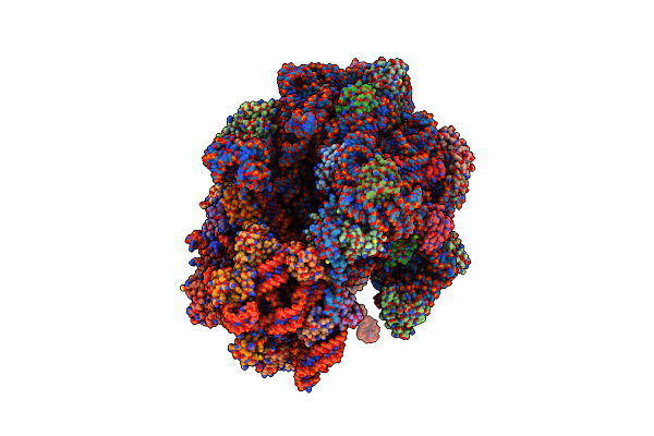 5LZA image
