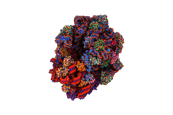 5LZC image