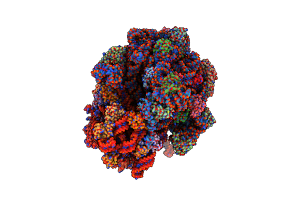 5LZE image