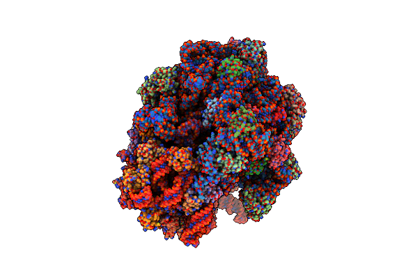 5LZF image