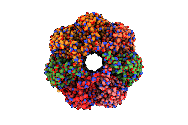 5LZP image