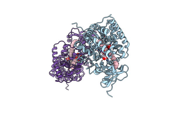 5M0P image