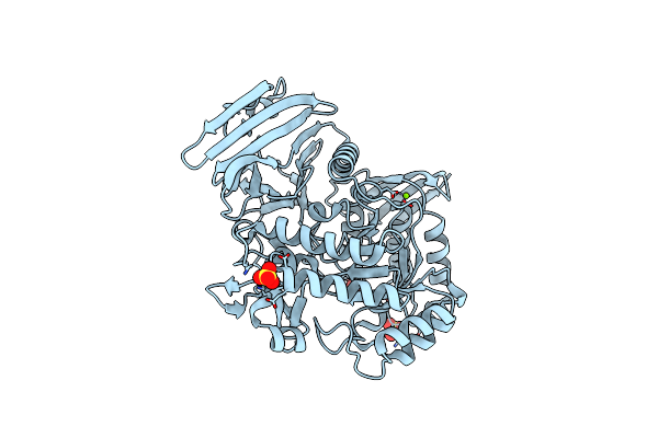 5M0X image