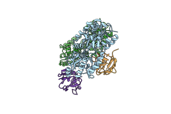 5M15 image