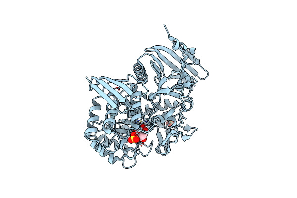 5M16 image