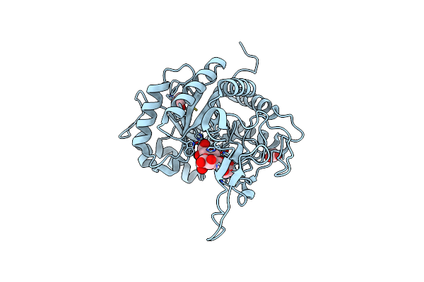 5M17 image