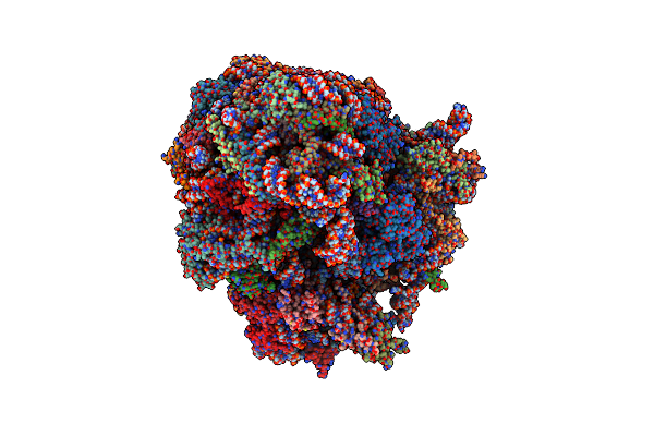 5M1J image