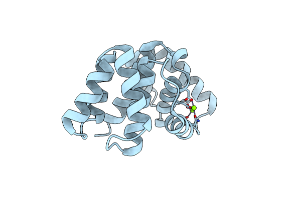 5M1M image