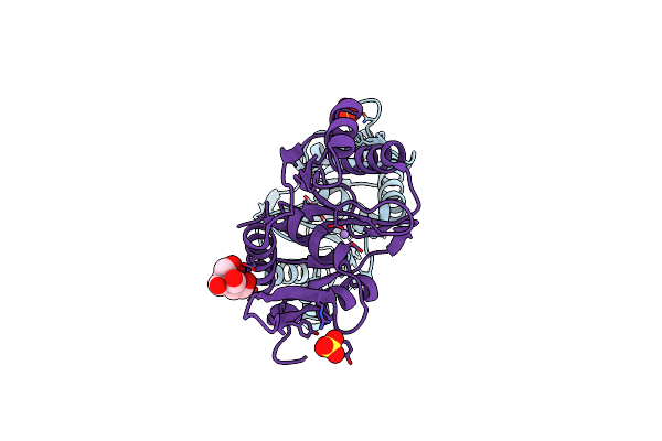 5M1N image